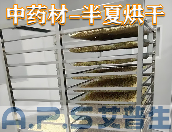 中藥材半夏烘干，除了傳統(tǒng)的烘干方法，首選推薦使用艾普生空氣能熱泵烘干機